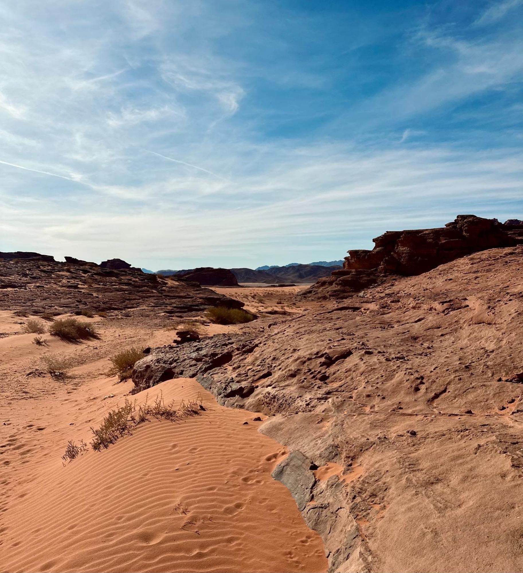 Salameh'S Bedouin Camp Otel Ram Vadisi Dış mekan fotoğraf