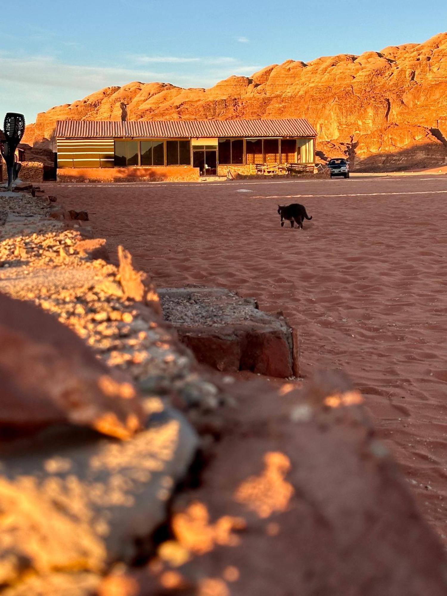 Salameh'S Bedouin Camp Otel Ram Vadisi Dış mekan fotoğraf